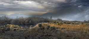 Transition Desert To Mountains Panorama