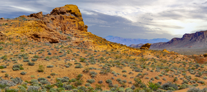 Valley Of Fire Panorama