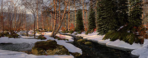 WINTER BROOK P