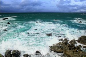 Wind Driven Waves