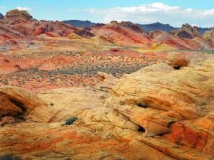 Painted Sandstone Desert 