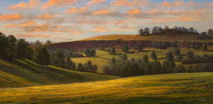 Spring In The Canyon D 