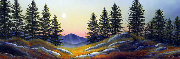 ALPINE MEADOW  SUNSET  P Print