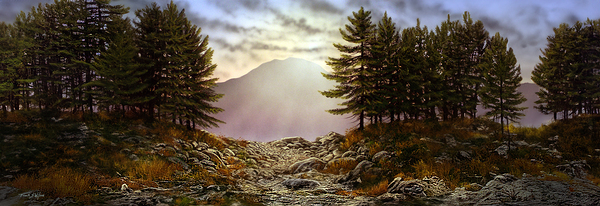 EVENING TRAIL P Print