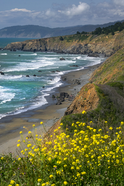 Inaccessable Beach by Frank Wilson