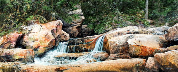 MOUNTAIN STREAM P Print