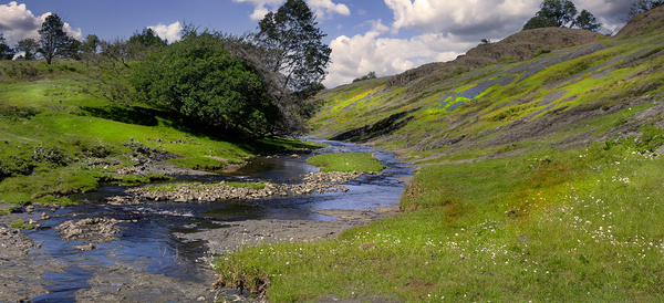 Table Mountain Stream P Print