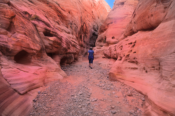 The Pink Slot Canyon Print
