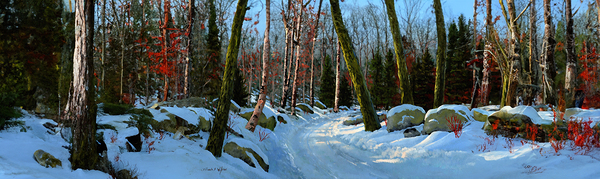 WINTER ROAD P Print