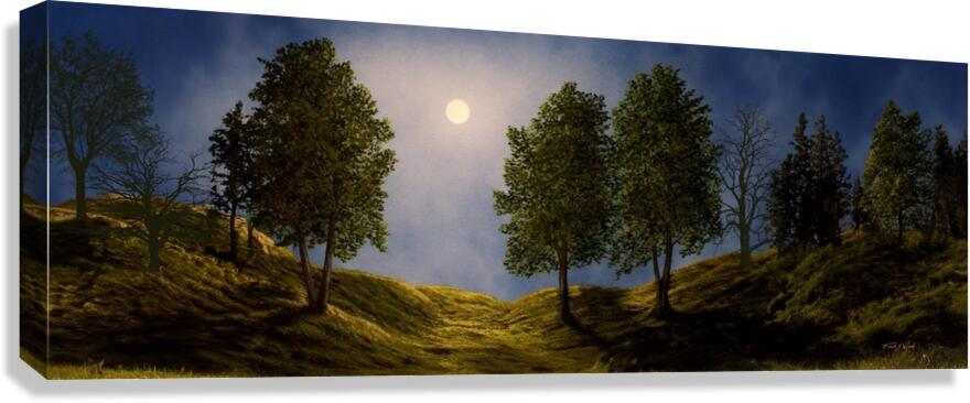 MAPLES IN MOONLIGHT P Canvas Print