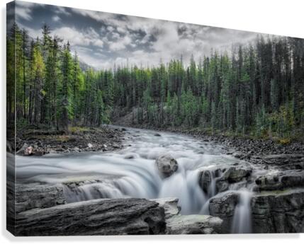 Sunwapta Canvas Print
