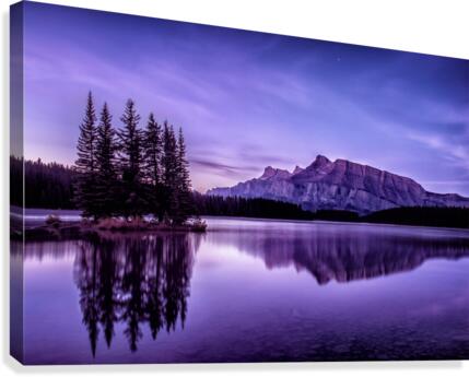 Refreshing Carity Canvas Print