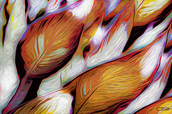 Natures Allure Print