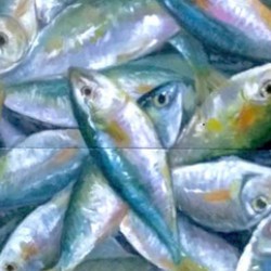 Fish For Sale