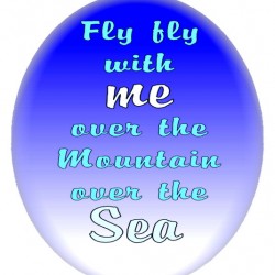 Fly