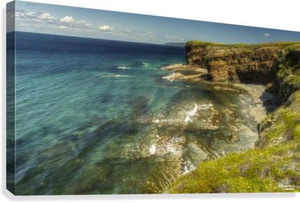 fresh waters Canvas Print