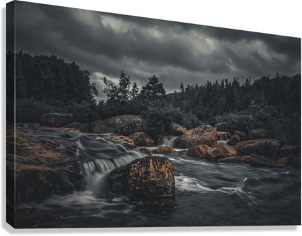 Manuels River  Canvas Print