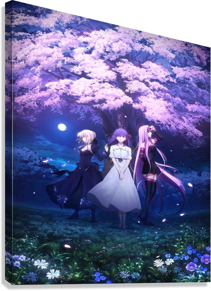 Fate 2 Canvas Print