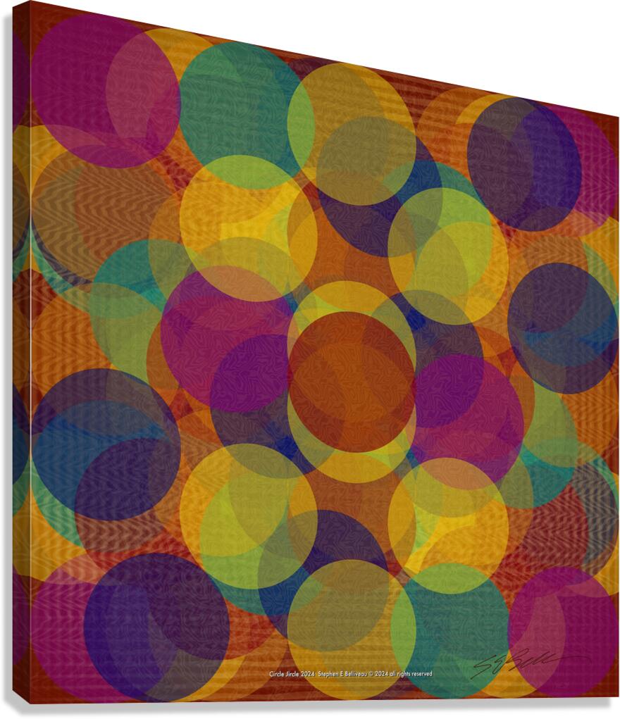 CIRCLE JIRCLE Canvas Print