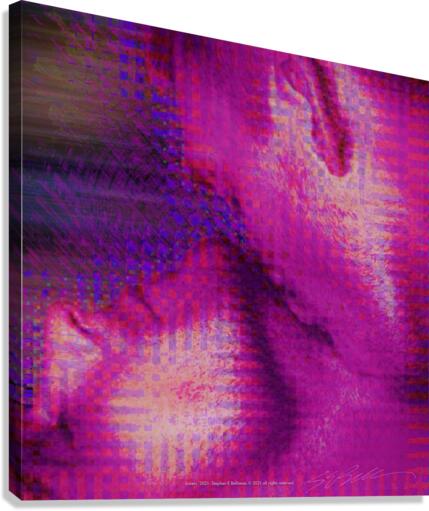 Lovers  Canvas Print