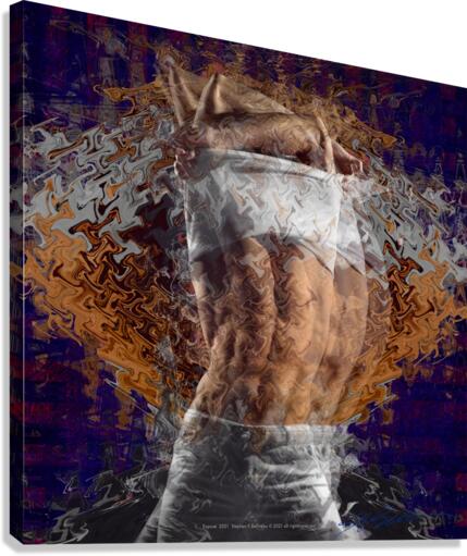 Expose    2 13 21 Canvas Print