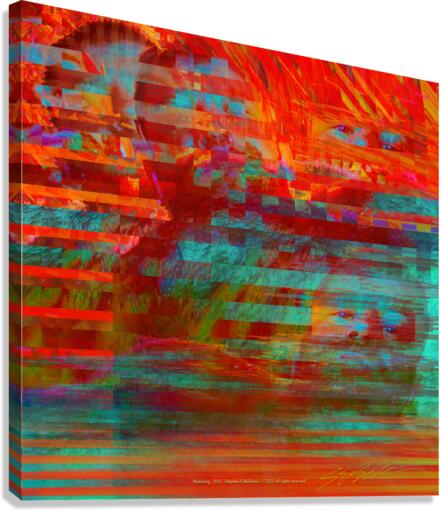 Watching Canvas Print