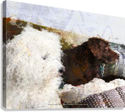 BORIS & BUOY  Canvas Print