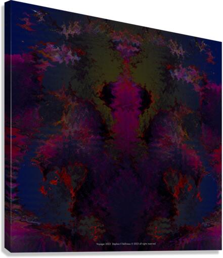 VOYAGER  Canvas Print