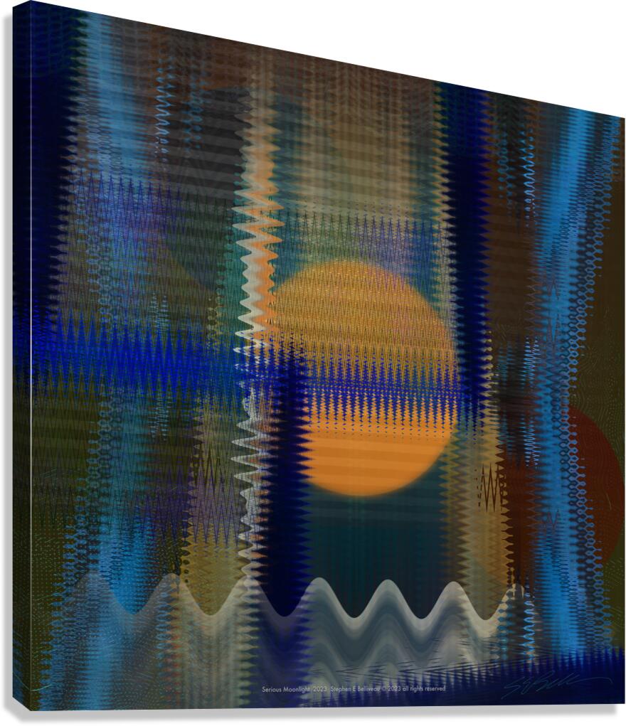 SERIOUS MOOLIGHT Canvas Print