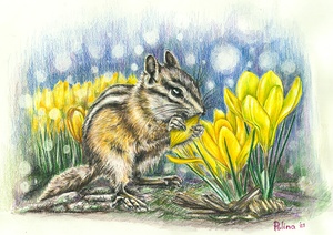 Spring Chipmunk