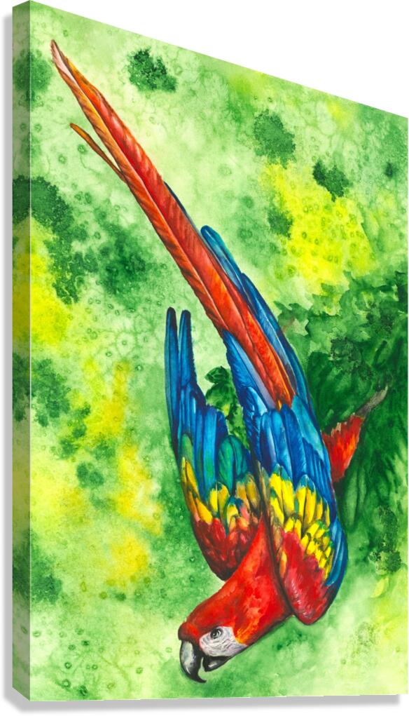 Scarlet Macaw Canvas Print