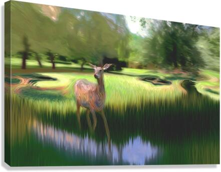 Outlander Canvas Print