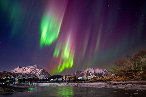 Northern Lights over Leknes