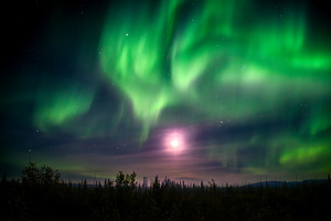 Northern Lights over the Yukon