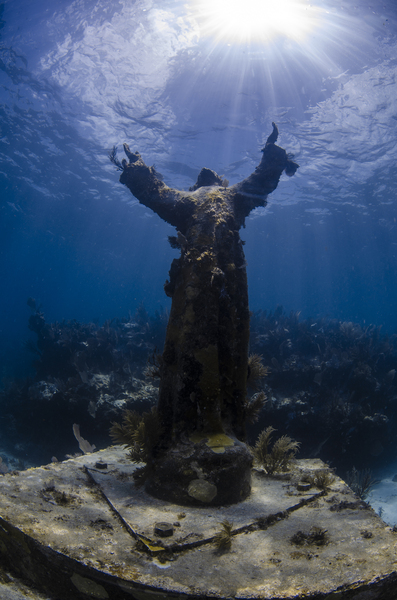 Open Arms by steven anderson