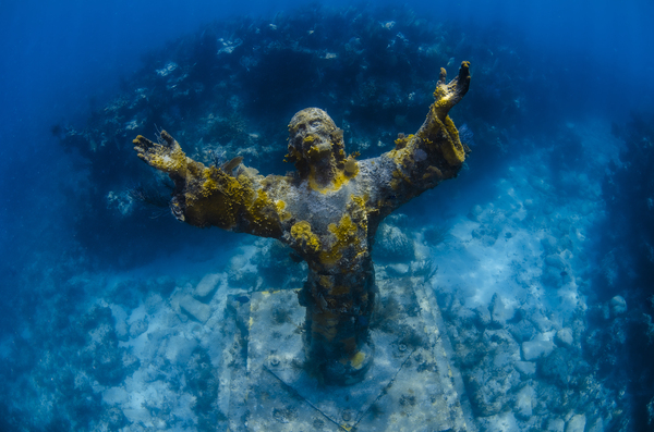 Blessed by steven anderson