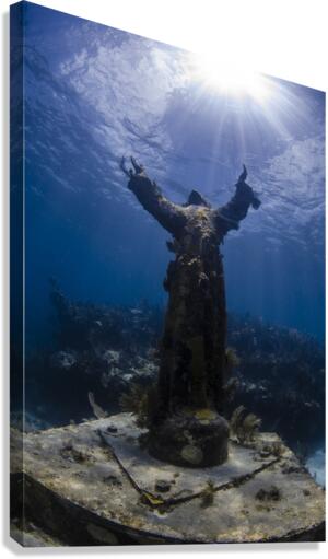 Open Arms Canvas Print