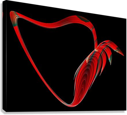 Flying Heart Canvas Print