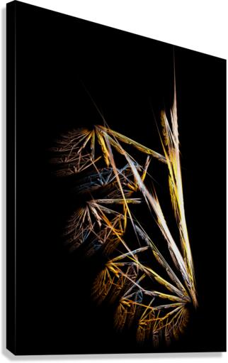 Dead Bush Canvas Print