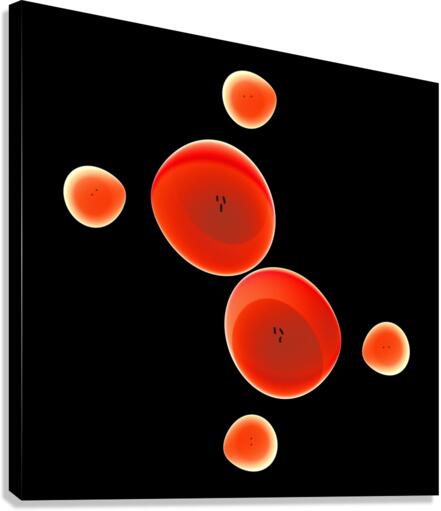 Lady Bug Canvas Print
