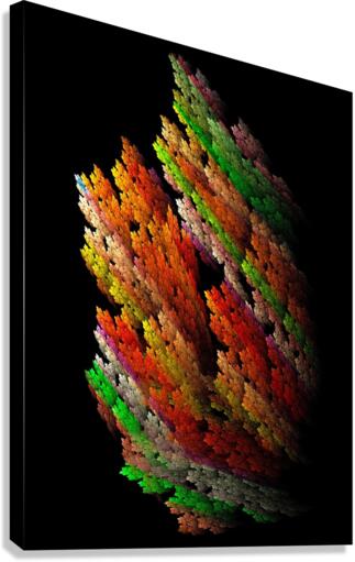 Corals Canvas Print
