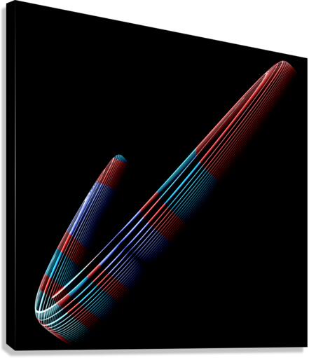 Check Mark Canvas Print