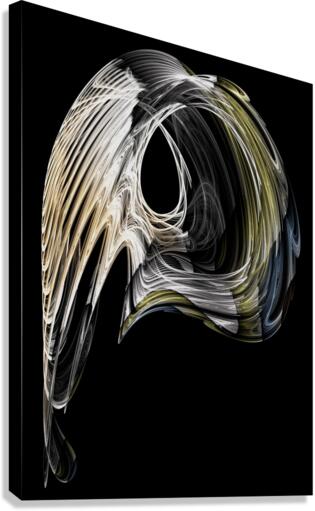 The Wig Canvas Print