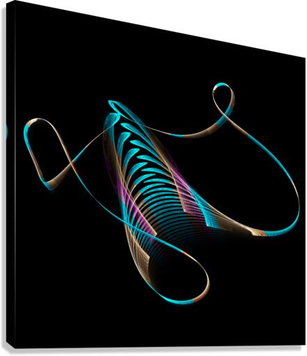 Swing Canvas Print