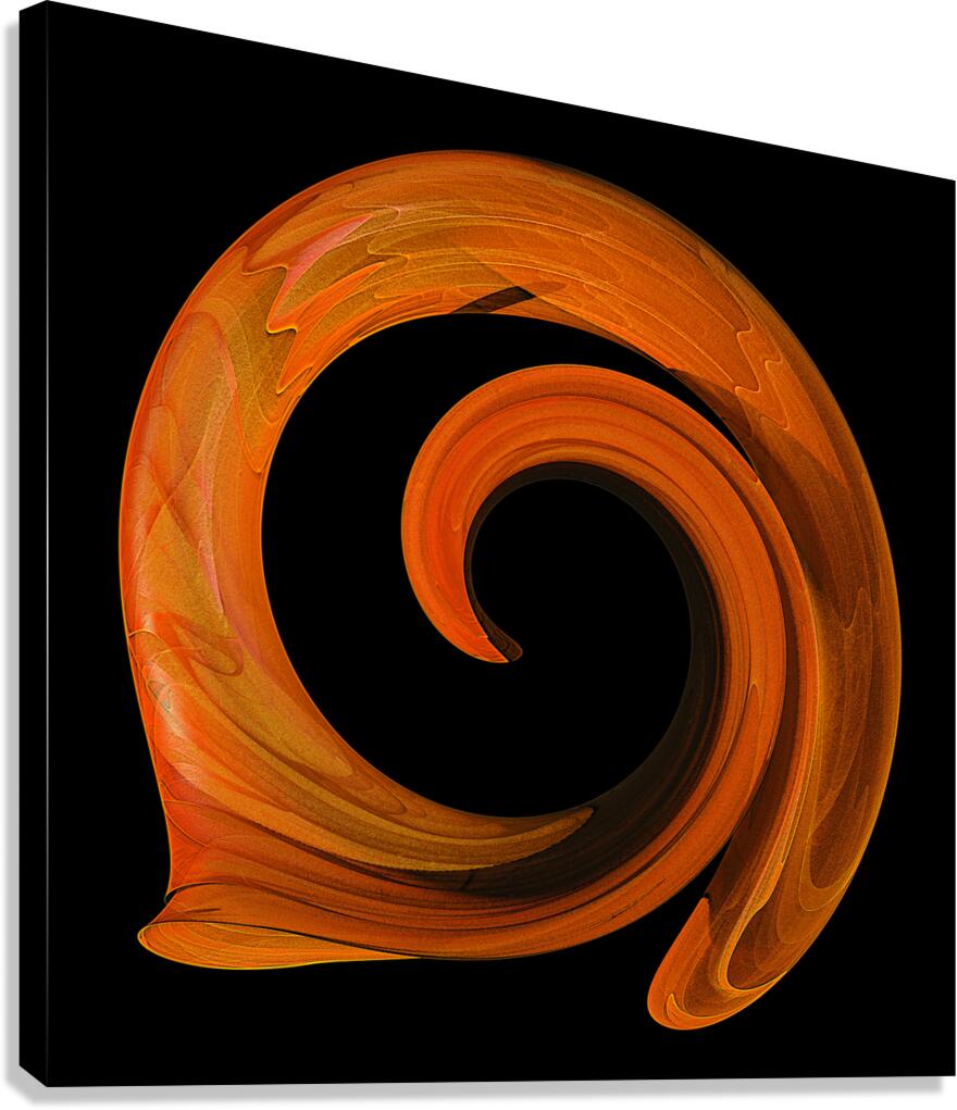 Nautilus Canvas Print