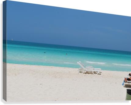 Paradise Found Canvas Print