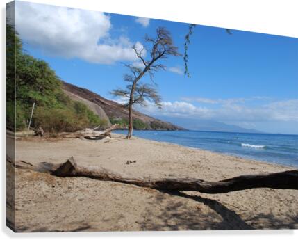 Beach Maui Canvas Print