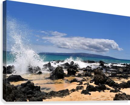 Secret Beach Canvas Print