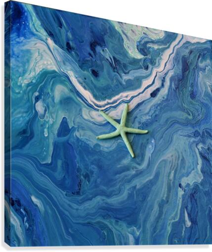 Star Fish  Canvas Print