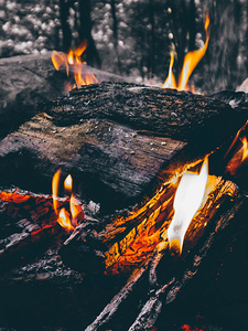 Wood Fire Camping forest